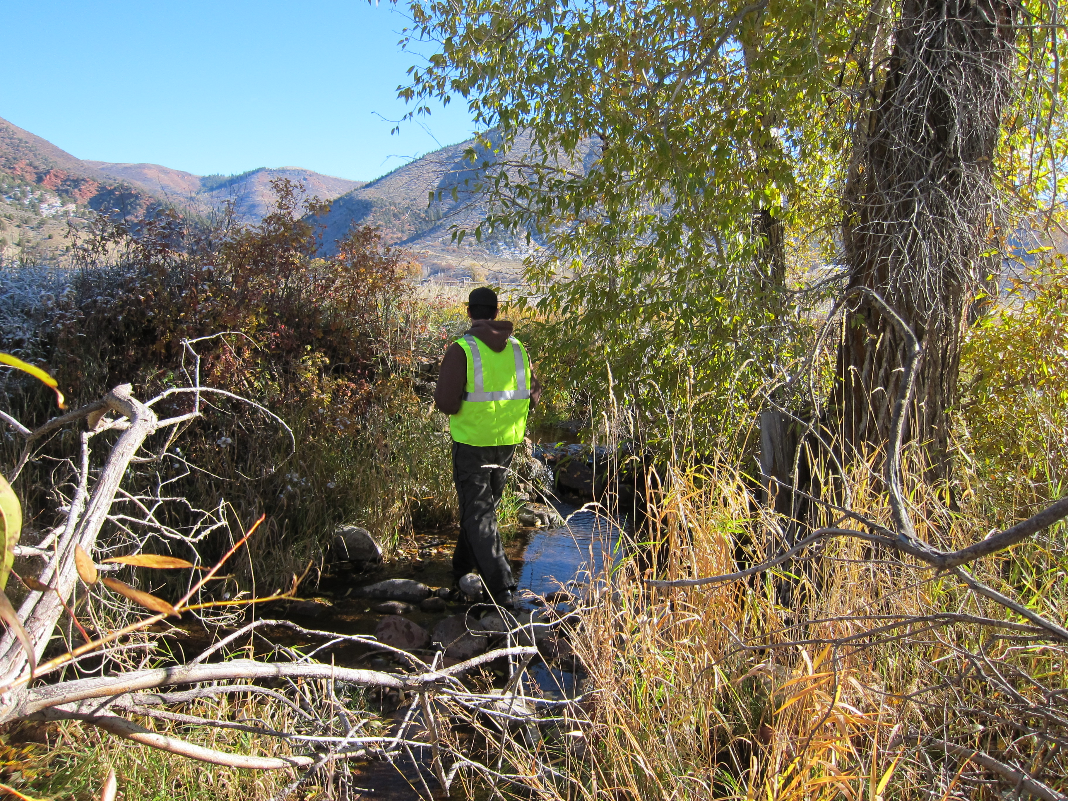 Pitkin County 404 Investigation