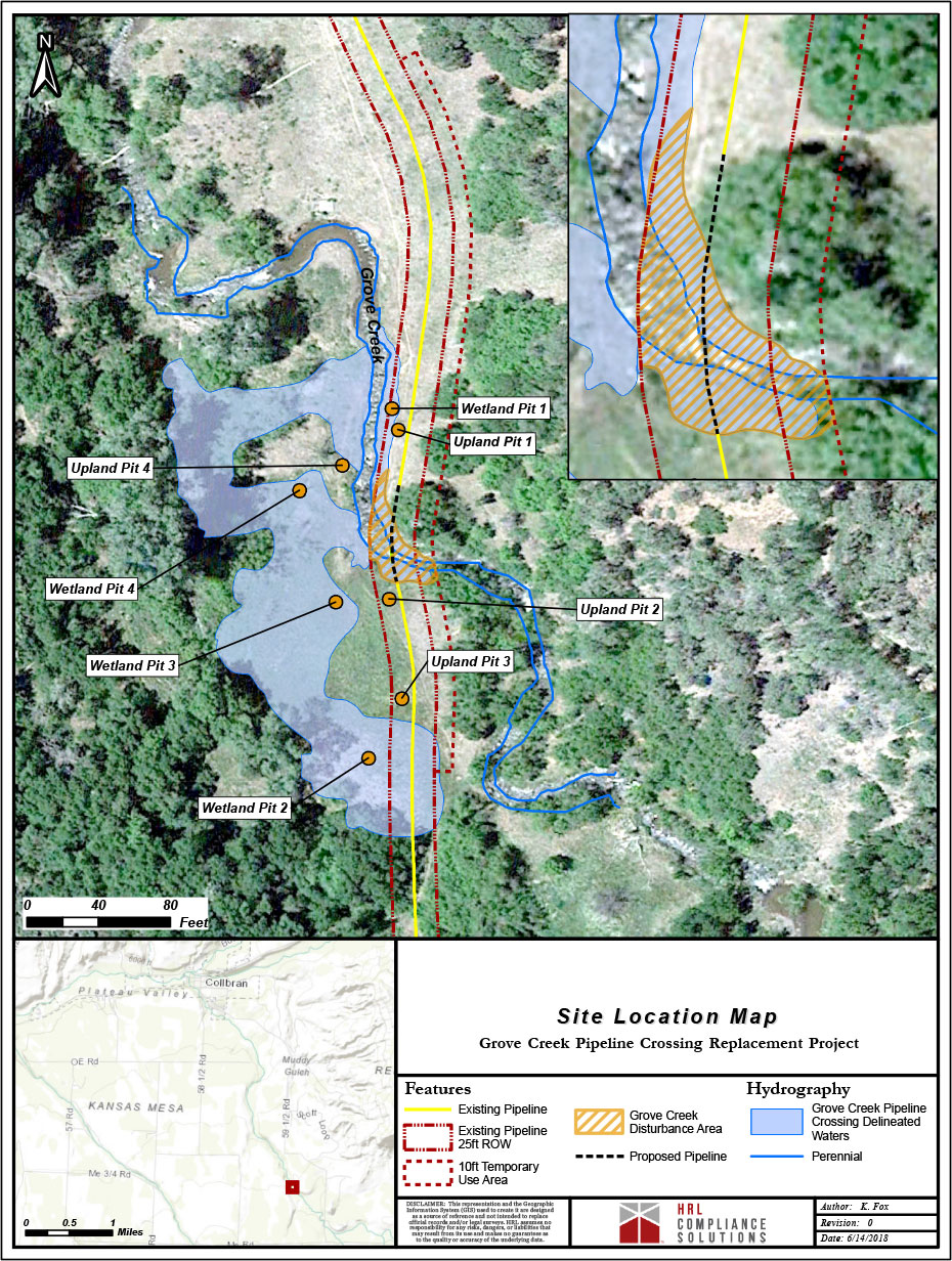 Wetland Delineations