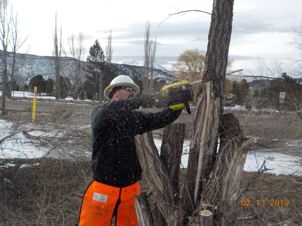 Habitat Manipulation Project